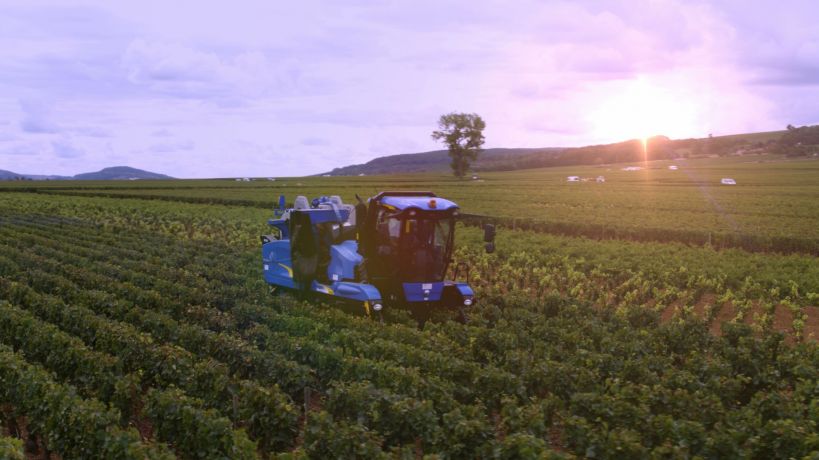 Emission France 3 "Au coeur des vendanges" 